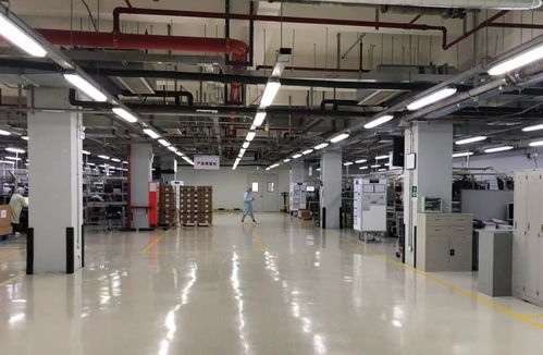 他們為何扎根中國 這組數字給出答案