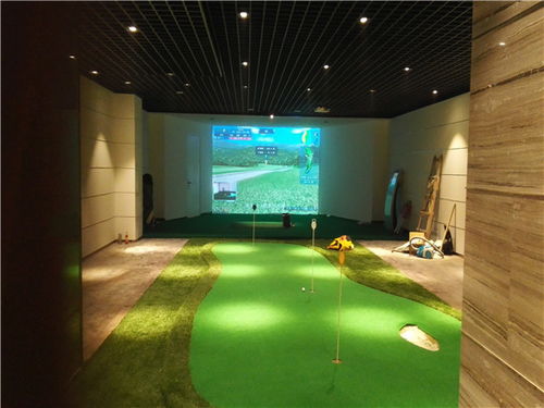 專(zhuān)業(yè)室內(nèi)高爾夫模擬器